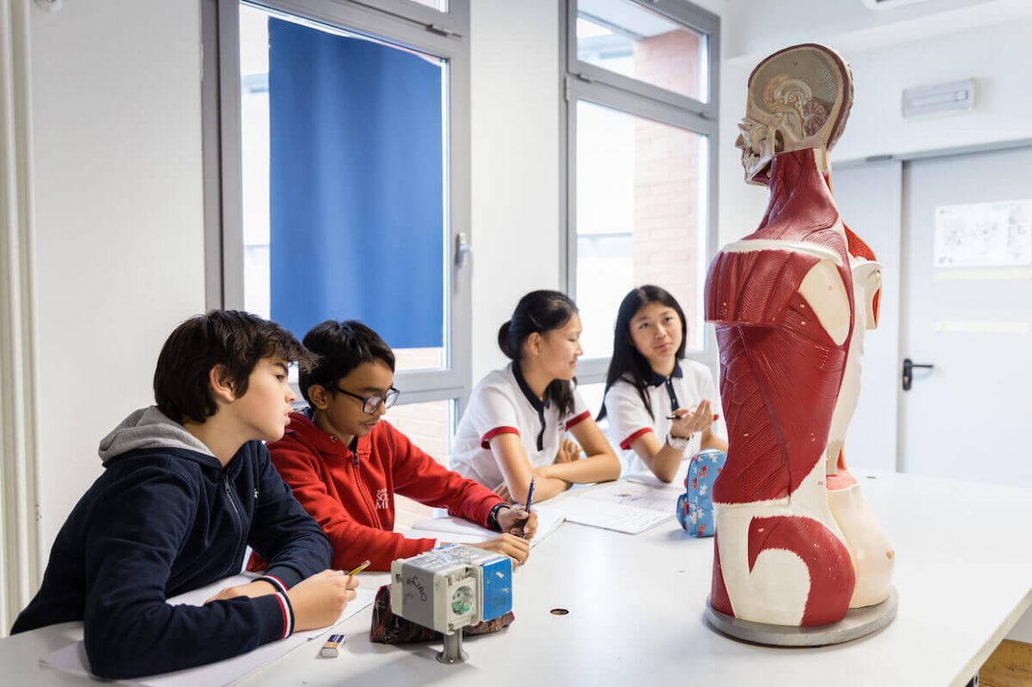 IB program